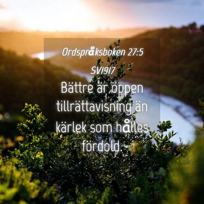 Picture 04 - Ordspråksboken 27:5 SV1917 - Bättre är öppen tillrättavisning än kärlek - Bible Verse Picture