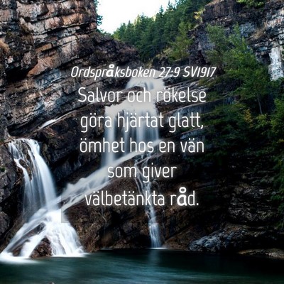 Picture 04 - Ordspråksboken 27:9 SV1917 - Salvor och rökelse göra hjärtat glatt, ömhet - Bible Verse Picture
