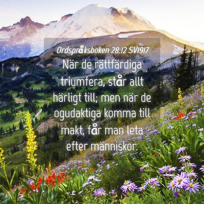 Picture 04 - Ordspråksboken 28:12 SV1917 - När de rättfärdiga triumfera, står allt - Bible Verse Picture