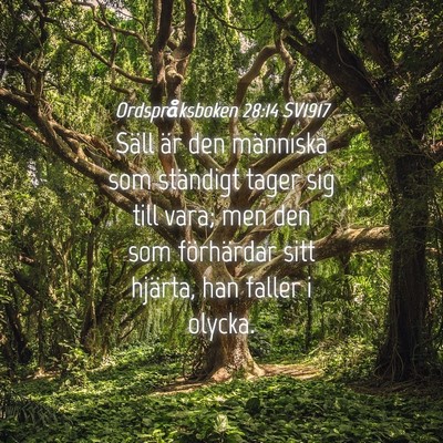 Picture 04 - Ordspråksboken 28:14 SV1917 - Säll är den människa som ständigt tager sig - Bible Verse Picture