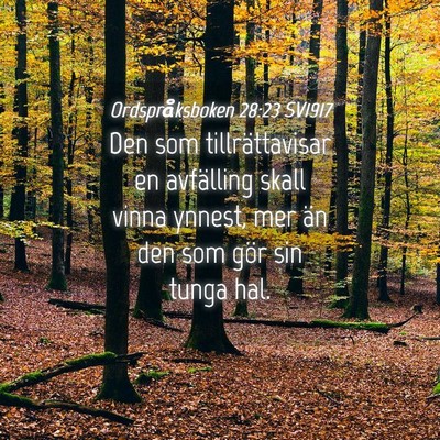 Picture 04 - Ordspråksboken 28:23 SV1917 - Den som tillrättavisar en avfälling skall vinna - Bible Verse Picture