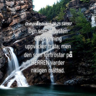 Picture 04 - Ordspråksboken 28:25 SV1917 - Den som är lysten efter vinning uppväcker - Bible Verse Picture