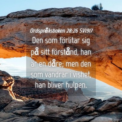 Picture 04 - Ordspråksboken 28:26 SV1917 - Den som förlitar sig på sitt förstånd, han - Bible Verse Picture