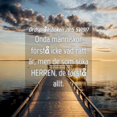 Picture 04 - Ordspråksboken 28:5 SV1917 - Onda människor förstå icke vad rätt är, men - Bible Verse Picture