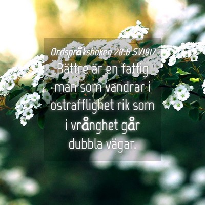 Picture 04 - Ordspråksboken 28:6 SV1917 - Bättre är en fattig man som vandrar i - Bible Verse Picture