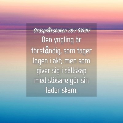 Picture 04 - Ordspråksboken 28:7 SV1917 - Den yngling är förståndig, som tager lagen i - Bible Verse Picture
