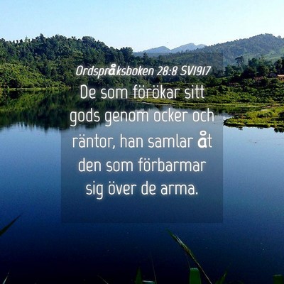 Picture 04 - Ordspråksboken 28:8 SV1917 - De som förökar sitt gods genom ocker och - Bible Verse Picture