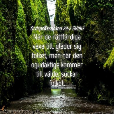 Picture 04 - Ordspråksboken 29:2 SV1917 - När de rättfärdiga växa till, gläder sig - Bible Verse Picture