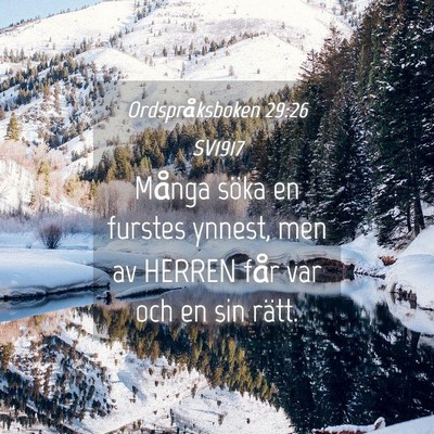 Picture 04 - Ordspråksboken 29:26 SV1917 - Många söka en furstes ynnest, men av HERREN - Bible Verse Picture