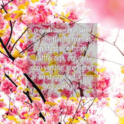 Picture 04 - Ordspråksboken 29:27 SV1917 - En orättfärdig man är en styggelse för de - Bible Verse Picture