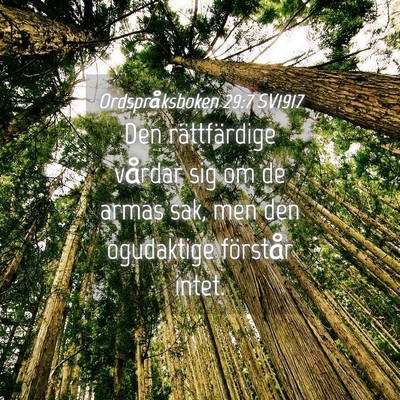 Picture 04 - Ordspråksboken 29:7 SV1917 - Den rättfärdige vårdar sig om de armas sak, - Bible Verse Picture