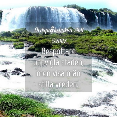 Picture 04 - Ordspråksboken 29:8 SV1917 - Bespottare uppvigla staden, men visa män stilla - Bible Verse Picture