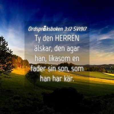 Picture 04 - Ordspråksboken 3:12 SV1917 - Ty den HERREN älskar, den agar han, likasom en - Bible Verse Picture