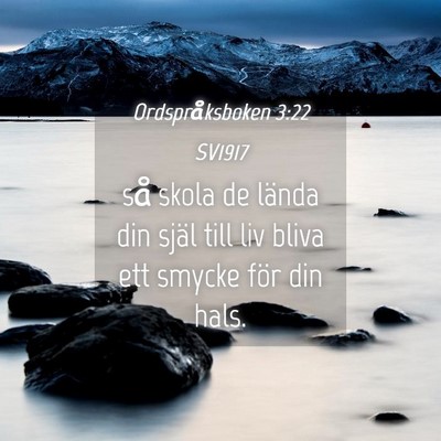 Picture 04 - Ordspråksboken 3:22 SV1917 - så skola de lända din själ till liv bliva ett - Bible Verse Picture