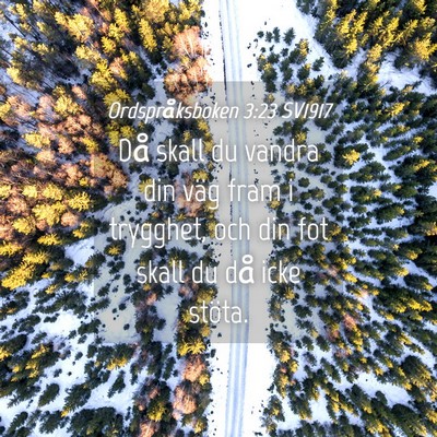 Picture 04 - Ordspråksboken 3:23 SV1917 - Då skall du vandra din väg fram i trygghet, och - Bible Verse Picture