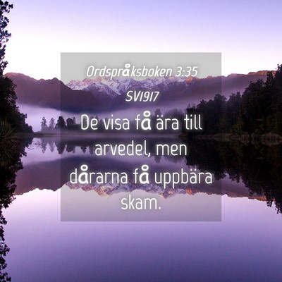 Picture 04 - Ordspråksboken 3:35 SV1917 - De visa få ära till arvedel, men dårarna få - Bible Verse Picture