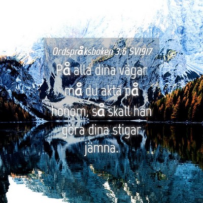 Picture 04 - Ordspråksboken 3:6 SV1917 - På alla dina vägar må du akta på honom, så - Bible Verse Picture