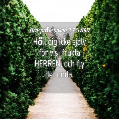 Picture 04 - Ordspråksboken 3:7 SV1917 - Håll dig icke själv för vis; frukta HERREN, - Bible Verse Picture