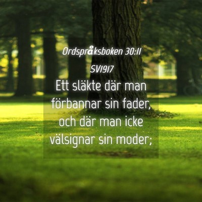 Picture 04 - Ordspråksboken 30:11 SV1917 - Ett släkte där man förbannar sin fader, och - Bible Verse Picture