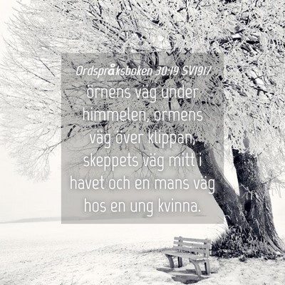 Picture 04 - Ordspråksboken 30:19 SV1917 - örnens väg under himmelen, ormens väg över - Bible Verse Picture