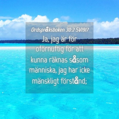 Picture 04 - Ordspråksboken 30:2 SV1917 - Ja, jag är för oförnuftig för att kunna - Bible Verse Picture
