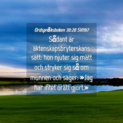 Picture 04 - Ordspråksboken 30:20 SV1917 - Sådant är äktenskapsbryterskans sätt: hon - Bible Verse Picture