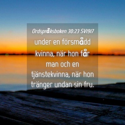 Picture 04 - Ordspråksboken 30:23 SV1917 - under en försmådd kvinna, när hon får man och - Bible Verse Picture