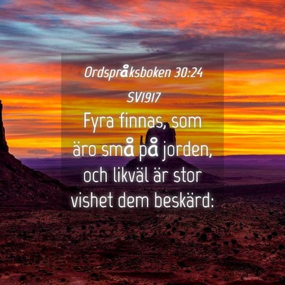Picture 04 - Ordspråksboken 30:24 SV1917 - Fyra finnas, som äro små på jorden, och - Bible Verse Picture