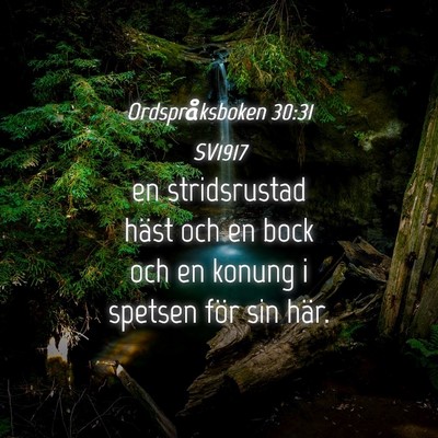 Picture 04 - Ordspråksboken 30:31 SV1917 - en stridsrustad häst och en bock och en konung i - Bible Verse Picture