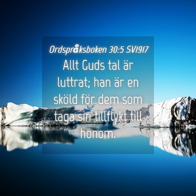 Picture 04 - Ordspråksboken 30:5 SV1917 - Allt Guds tal är luttrat; han är en sköld för - Bible Verse Picture
