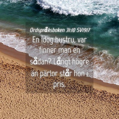 Picture 04 - Ordspråksboken 31:10 SV1917 - En idog hustru, var finner man en sådan? Långt - Bible Verse Picture
