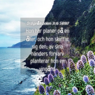 Picture 04 - Ordspråksboken 31:16 SV1917 - Hon har planer på en åker, och hon skaffar sig - Bible Verse Picture