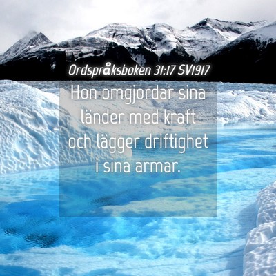 Picture 04 - Ordspråksboken 31:17 SV1917 - Hon omgjordar sina länder med kraft och lägger - Bible Verse Picture