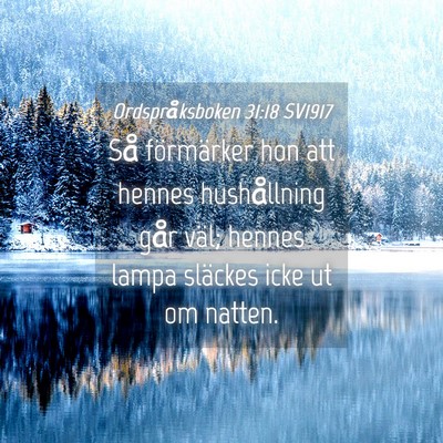Picture 04 - Ordspråksboken 31:18 SV1917 - Så förmärker hon att hennes hushållning går - Bible Verse Picture