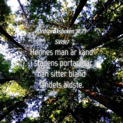 Picture 04 - Ordspråksboken 31:23 SV1917 - Hennes man är känd i stadens portar, där han - Bible Verse Picture