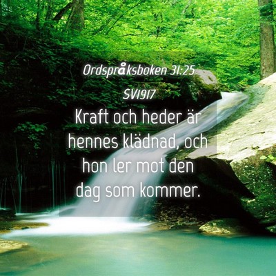 Picture 04 - Ordspråksboken 31:25 SV1917 - Kraft och heder är hennes klädnad, och hon ler - Bible Verse Picture