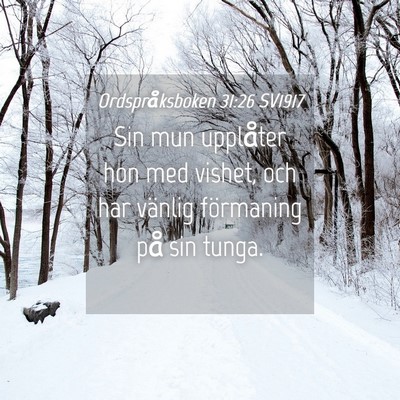 Picture 04 - Ordspråksboken 31:26 SV1917 - Sin mun upplåter hon med vishet, och har vänlig - Bible Verse Picture