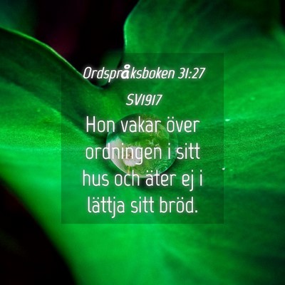 Picture 04 - Ordspråksboken 31:27 SV1917 - Hon vakar över ordningen i sitt hus och äter ej - Bible Verse Picture