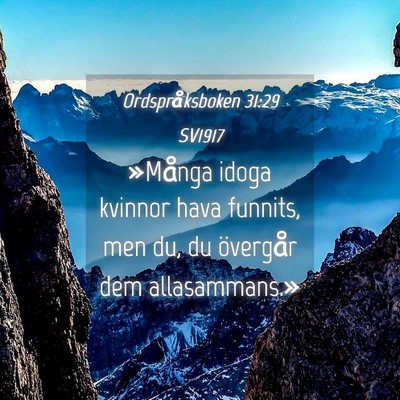 Picture 04 - Ordspråksboken 31:29 SV1917 - »Många idoga kvinnor hava funnits, men du, du - Bible Verse Picture