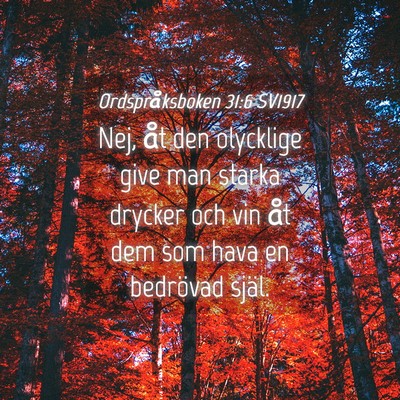 Picture 04 - Ordspråksboken 31:6 SV1917 - Nej, åt den olycklige give man starka drycker - Bible Verse Picture