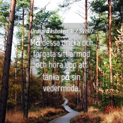 Picture 04 - Ordspråksboken 31:7 SV1917 - Må dessa dricka och förgäta sitt armod och - Bible Verse Picture