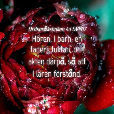 Picture 04 - Ordspråksboken 4:1 SV1917 - Hören, I barn, en faders tuktan, och akten - Bible Verse Picture