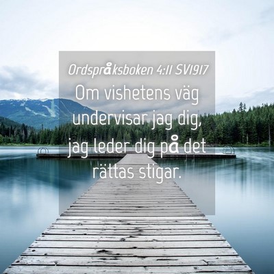 Picture 04 - Ordspråksboken 4:11 SV1917 - Om vishetens väg undervisar jag dig, jag leder - Bible Verse Picture