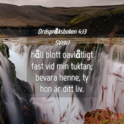Picture 04 - Ordspråksboken 4:13 SV1917 - håll blott oavlåtligt fast vid min tuktan; - Bible Verse Picture