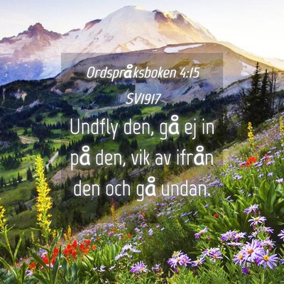 Picture 04 - Ordspråksboken 4:15 SV1917 - Undfly den, gå ej in på den, vik av ifrån den - Bible Verse Picture