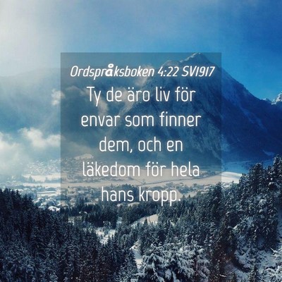 Picture 04 - Ordspråksboken 4:22 SV1917 - Ty de äro liv för envar som finner dem, och en - Bible Verse Picture