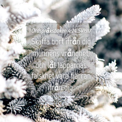 Picture 04 - Ordspråksboken 4:24 SV1917 - Skaffa bort ifrån dig munnens vrånghet, och - Bible Verse Picture