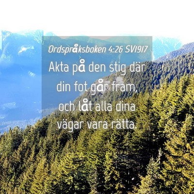 Picture 04 - Ordspråksboken 4:26 SV1917 - Akta på den stig där din fot går fram, och - Bible Verse Picture