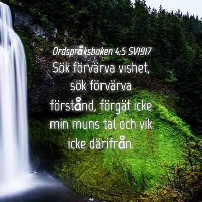 Picture 04 - Ordspråksboken 4:5 SV1917 - Sök förvärva vishet, sök förvärva - Bible Verse Picture
