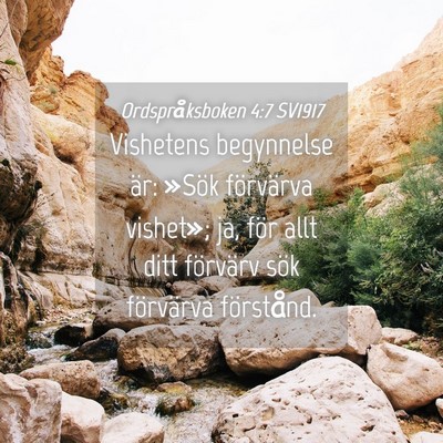 Picture 04 - Ordspråksboken 4:7 SV1917 - Vishetens begynnelse är: »Sök förvärva - Bible Verse Picture